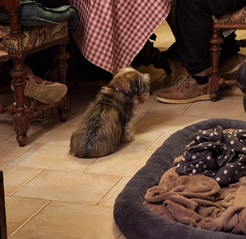 [Image: 20240627-223433.jpg]