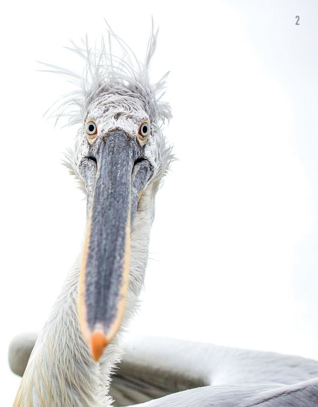 FOTO Cult Lug 2021 (5)