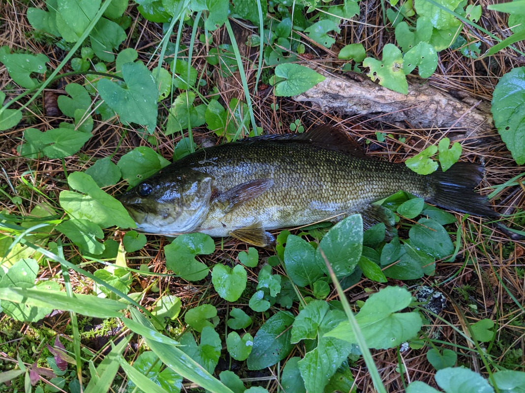 PXL_20210806_150041253