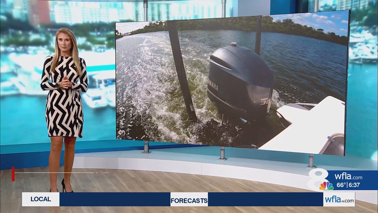 News Channel 8 Today at 6a 20251024 11001200 ts snapshot 00 39 03 842
