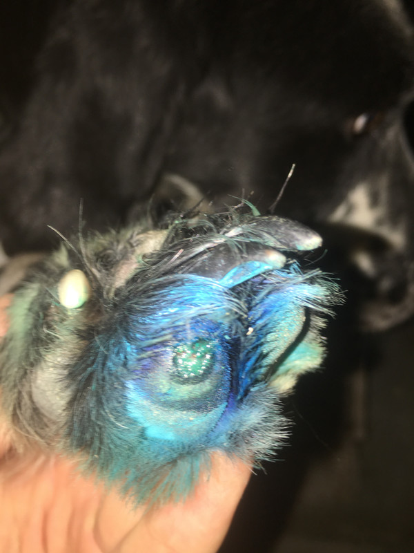 8DCFA421-9379-4706-9301-5D0082DFAFDF