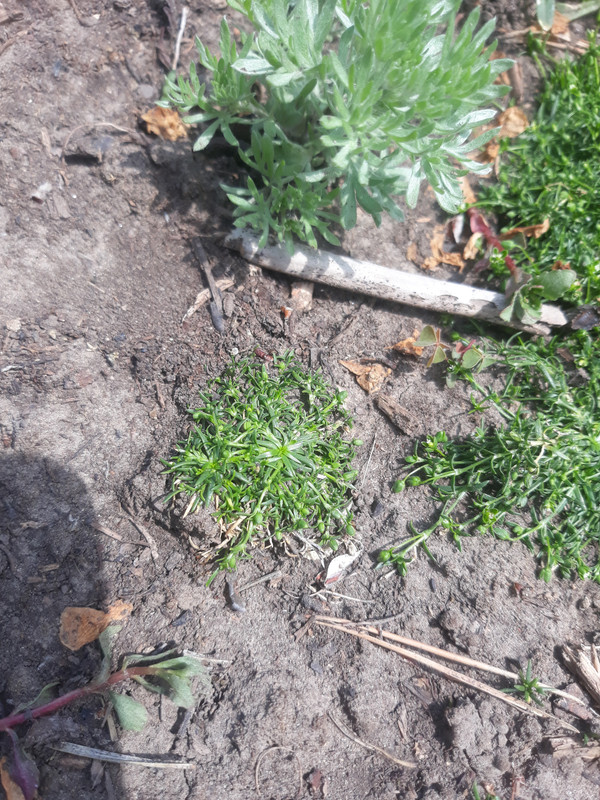 16538006227387200951060932465943