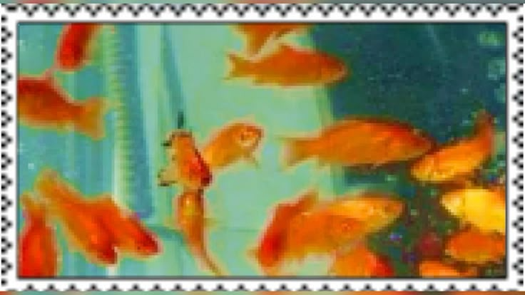 1552f1cc3135d112153329b98de8ae1d