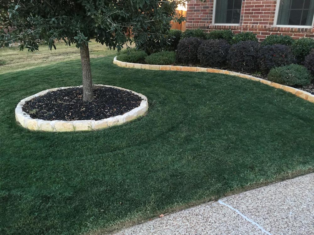 Lawn dye for winter? Lawn Care Forum