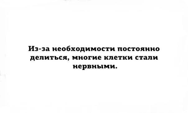 https://i.postimg.cc/qqDm5pDn/479708-743782055756348-2151599267440724874-n.jpg