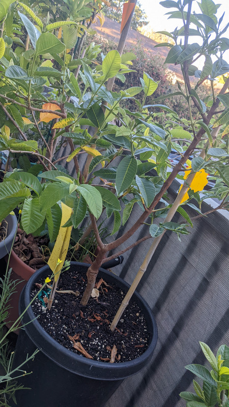 PXL_20240605_135243301