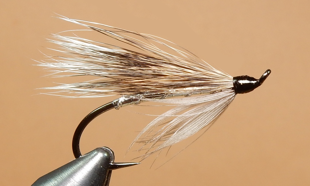 Silver-Squirrel-Tail-1080.jpg