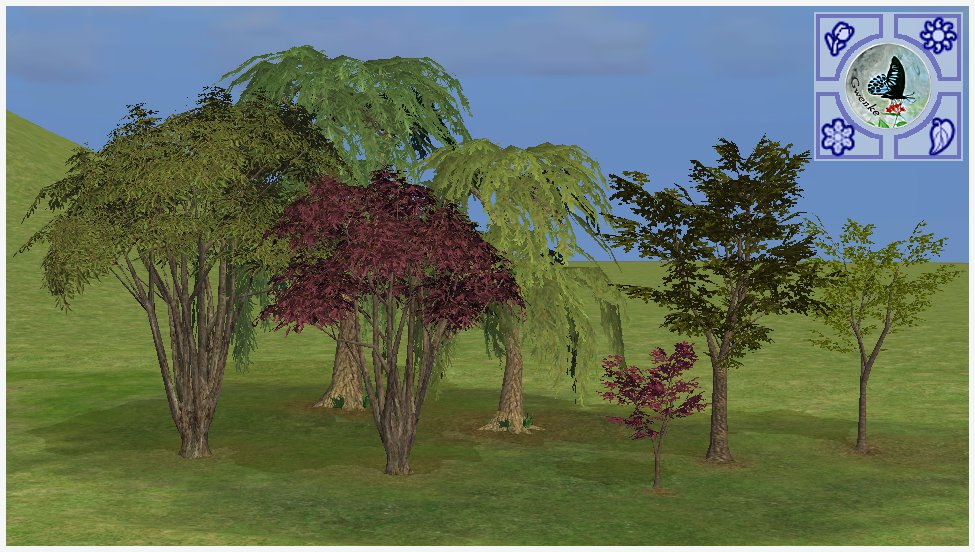 Resized trees upload