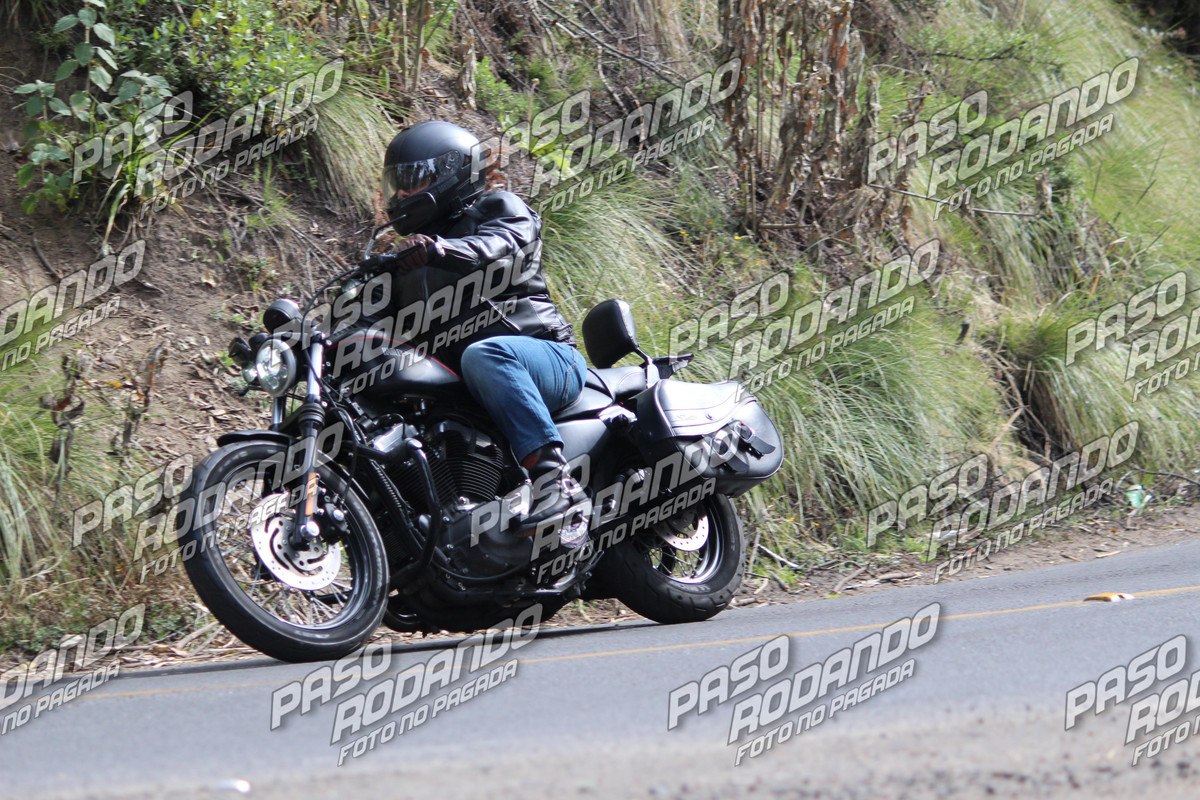 IMG 7136 wm 2497809 3 watermarked — Postimages