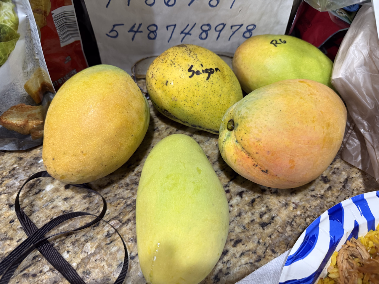Mangoes 526c