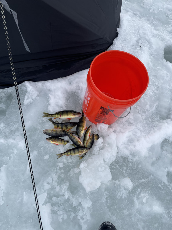 EC528698-8194-419C-94A2-625DD99EBF41