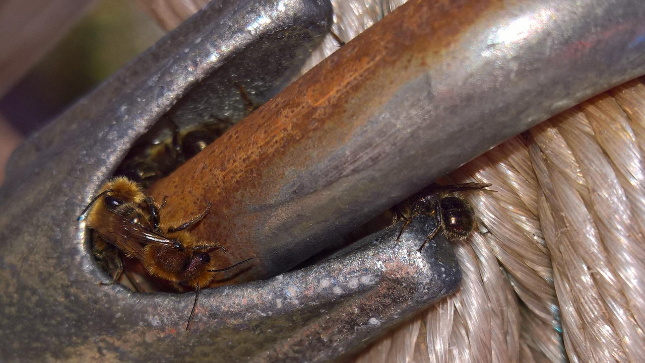 WP_20180617_10_07_53_Pro (2)