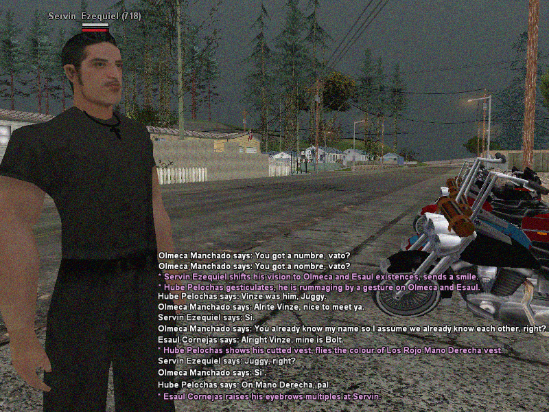SSRoleplay305.png