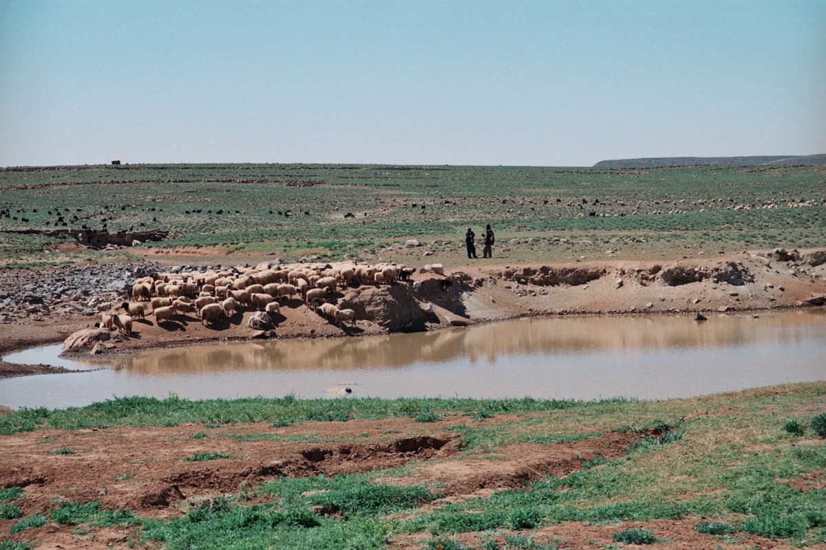 Taroudant en ruta (1)