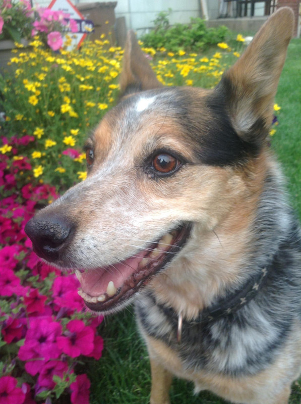 BE84F928-A13B-4B1D-9318-8E9BF7B69C6D