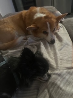 [Image: IMG-4646.jpg]