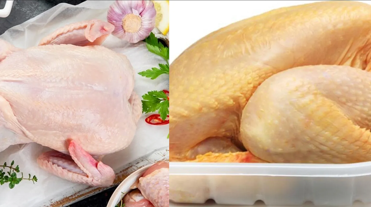 ¿Qué pollo es más saludable, blanco o el amarillo y cuál es la diferencia?