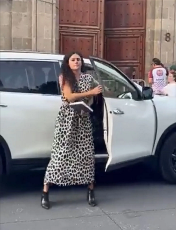 Acude Luisa MarÃa Alcalde a Palacio Nacional para reunirse con AMLO