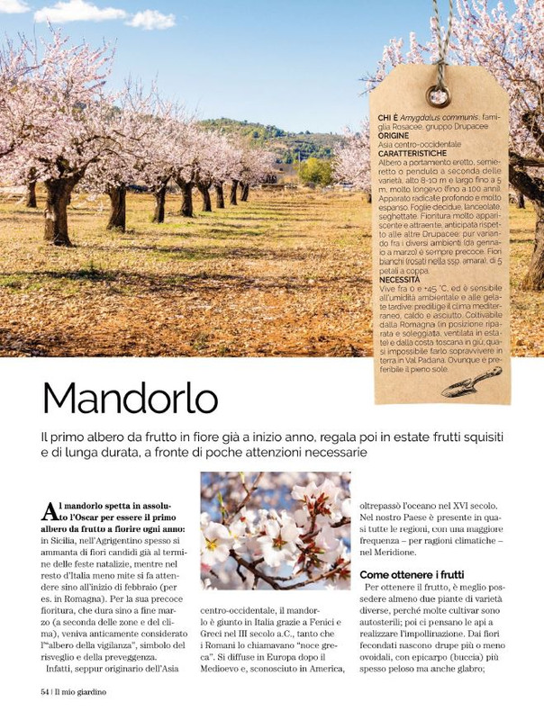 Il Mio Giar Feb-Mar 2022 (11)