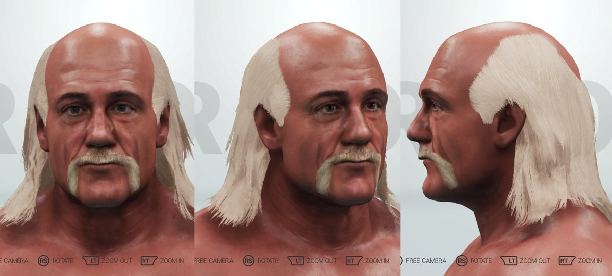 Hogan-face-2.jpg