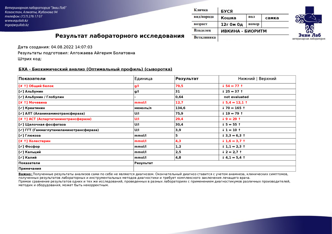 БХА Буся Ивкина БИОРИТМ