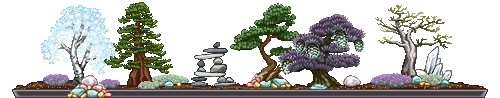 Light-and-Shadow-Bonsai.png