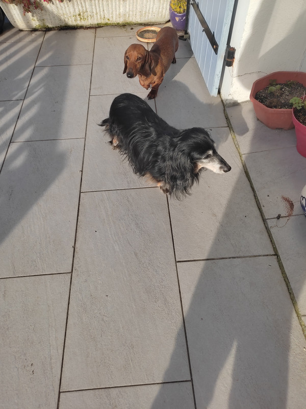 [Image: IMG-20240201-133304.jpg]