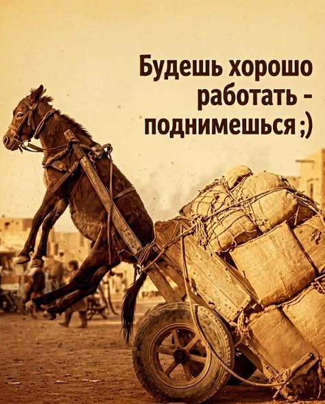 [Изображение: Bez-nazvania.jpg]