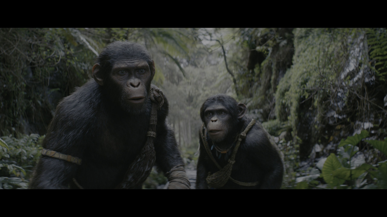 vlcsnap-2024-08-23-20h53m14s934