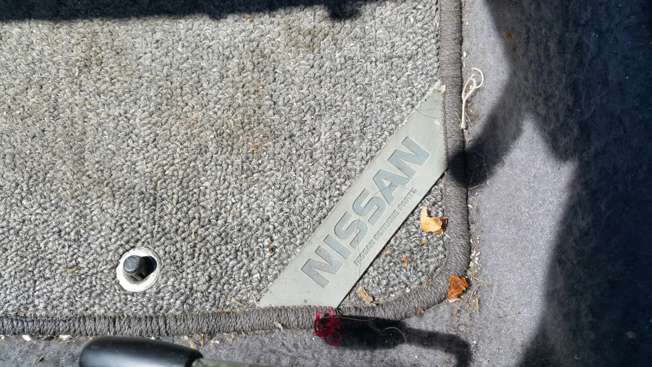 20201001_132201 (Large)