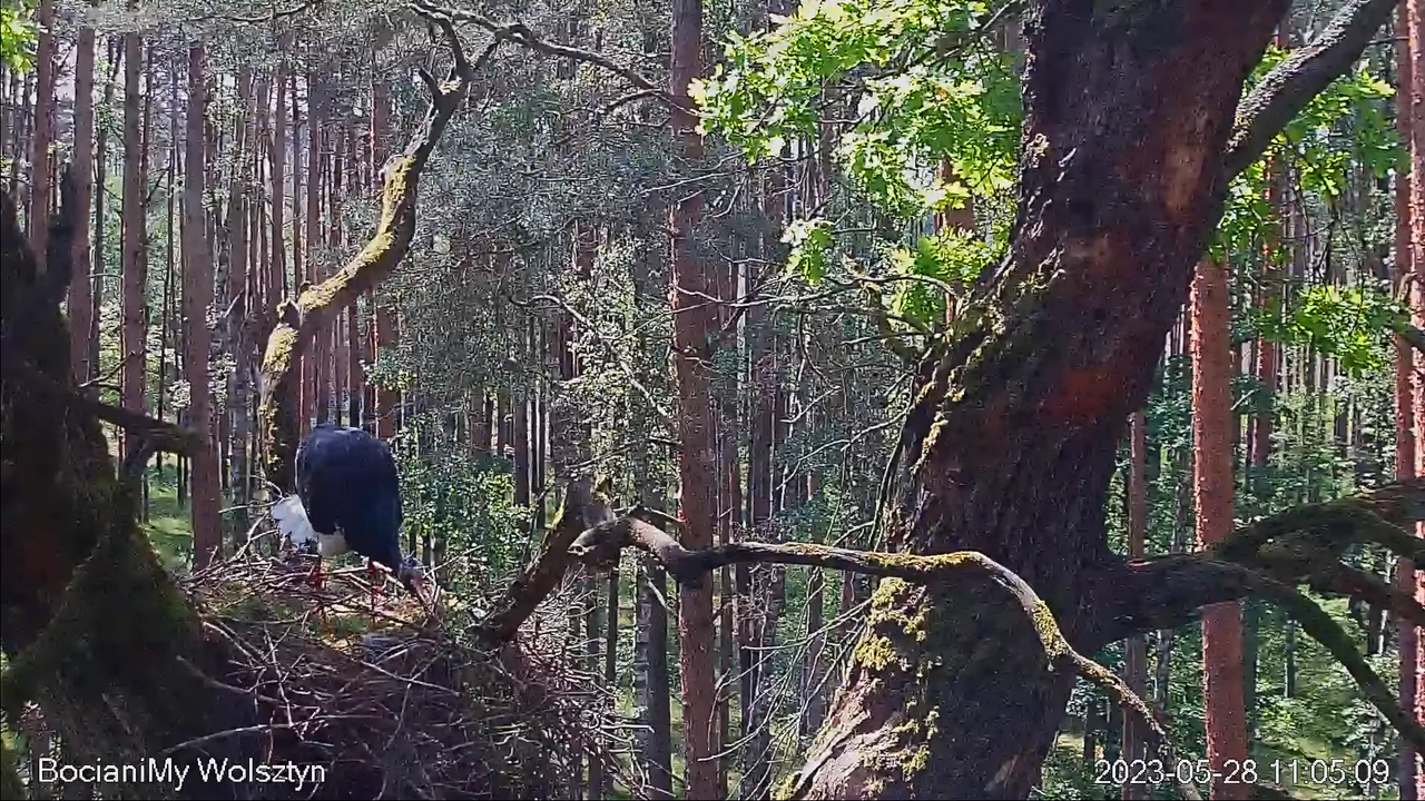 Zrzut ekranu (15031)