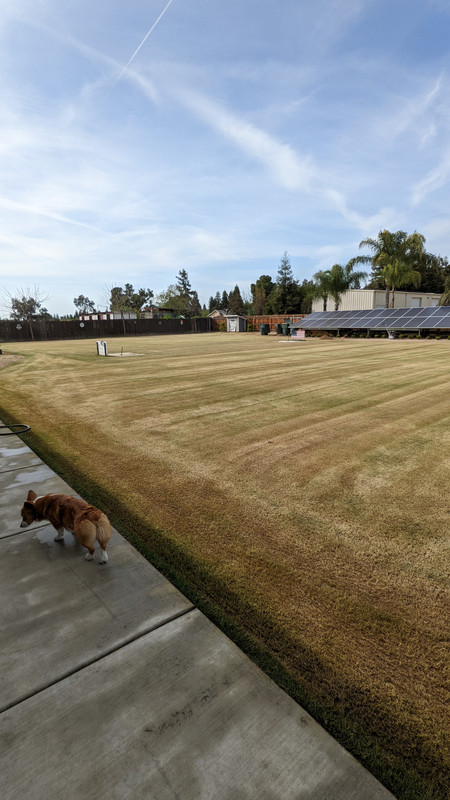 PXL_20220402_230223999