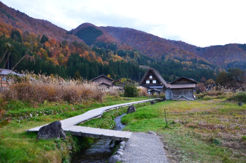 Aldea Histórica de Shirakawa-Go-14-11-2024 - Japón y sus Pueblos-2024 (9)