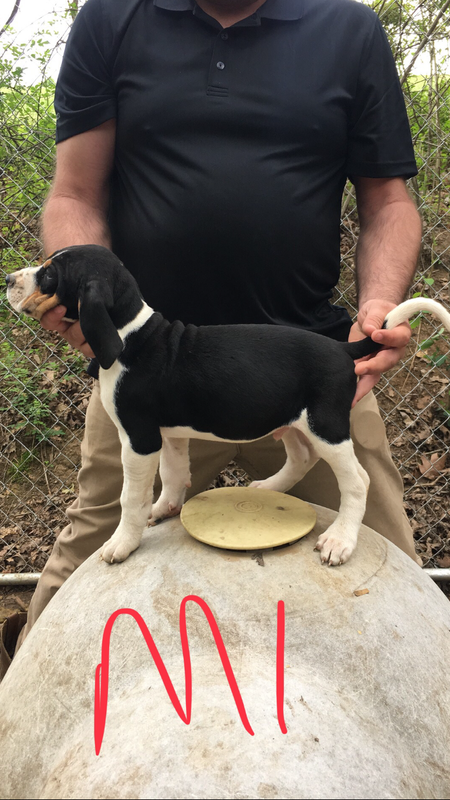 44421A46-4B30-4678-AF39-6CC1123C8523