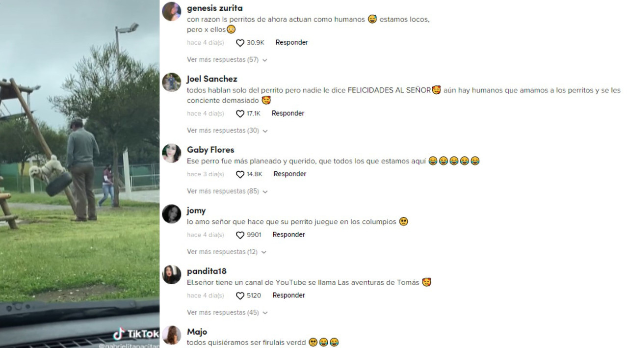 Abuelito llevó a su perro al parque y lo sube a los juegos infantiles