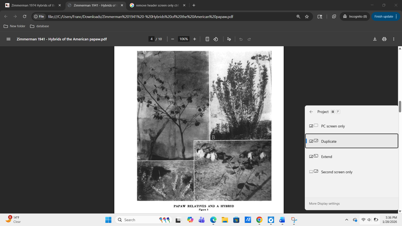 Screenshot 2026 01 28 173626