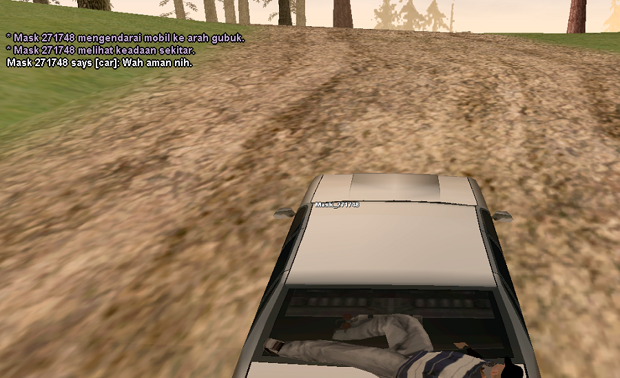 ss9.png