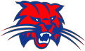 Benson Logo
