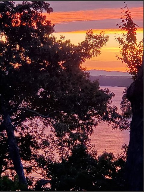 [Image: 202308-Sunset.jpg]