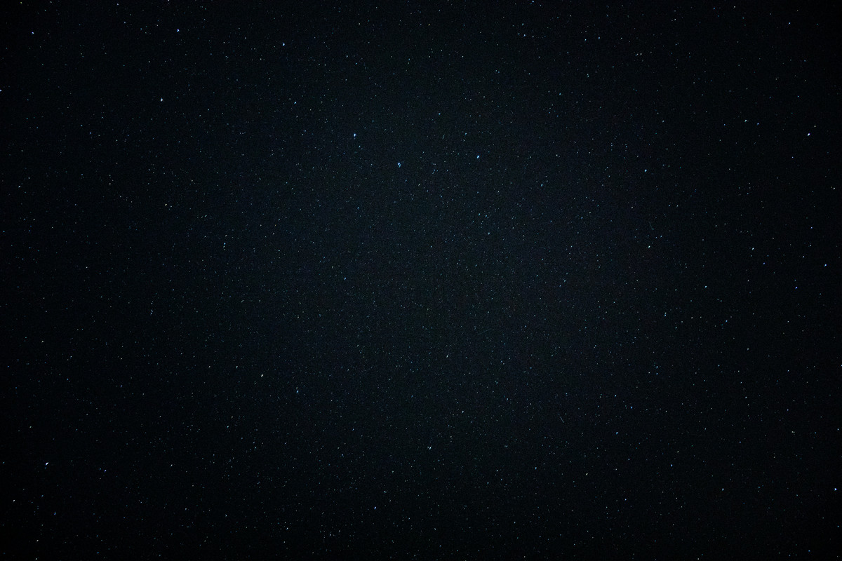 paul-lichtblau-fX-qWsXl5x8-unsplash