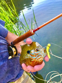 june 20 2020 nanticoke lake pic 4