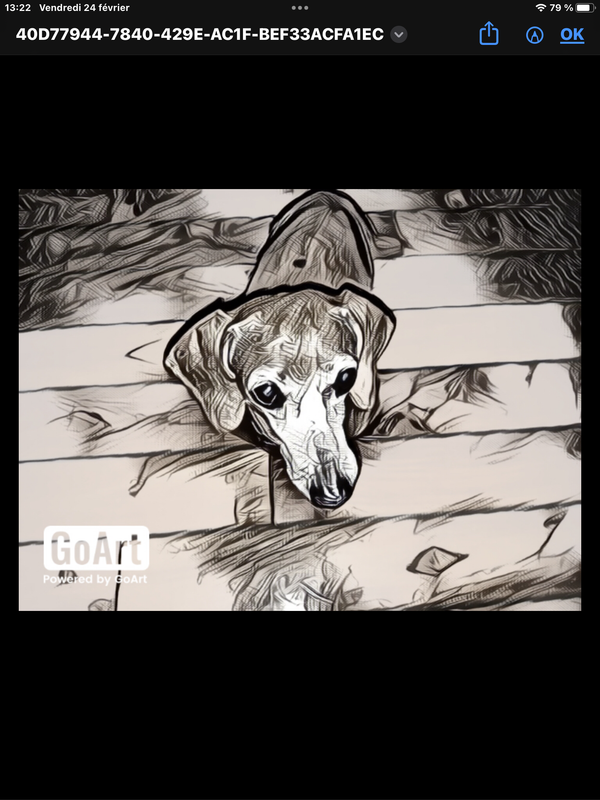 [Image: IMG-9176.png]