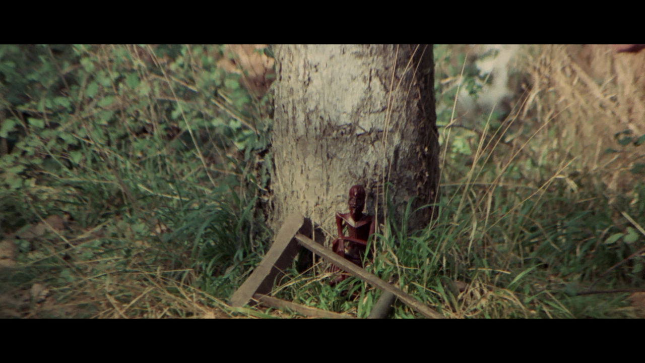 vlcsnap-2024-02-03-21h45m48s316