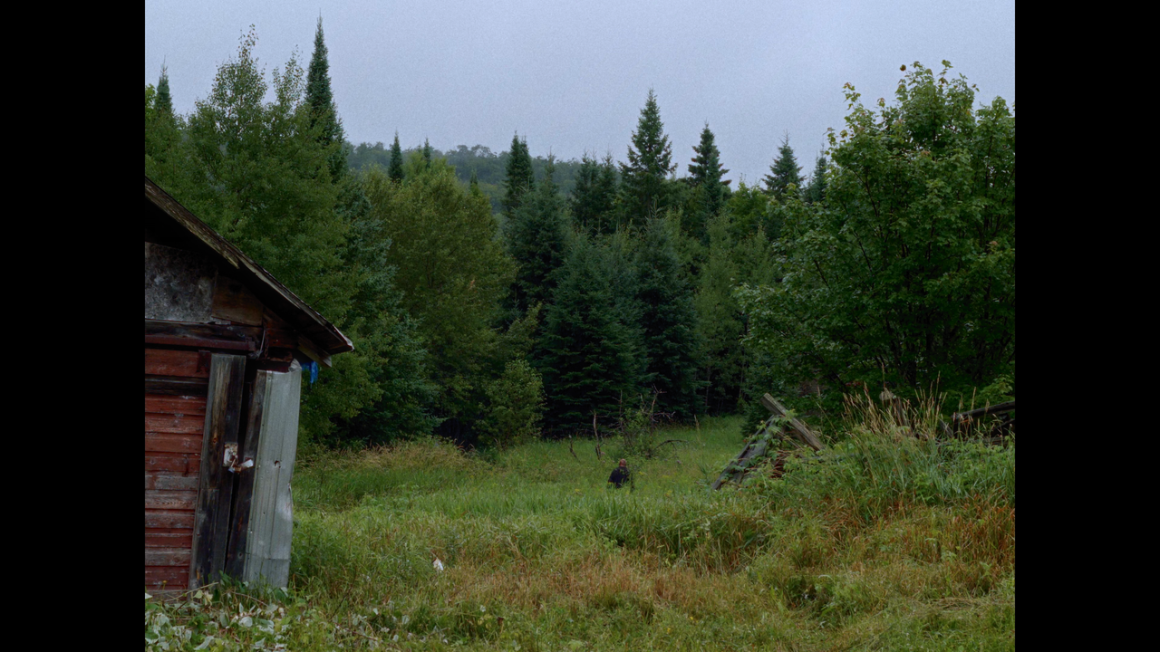 mpv-shot_In.a.Violent.Nature.2024.2160p.UHD.BDREMUX.HDR.DV.HEVC-Нечипорук_00_11_57_0003