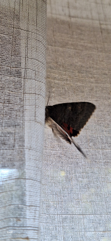 [Image: 20250802-184749.jpg]