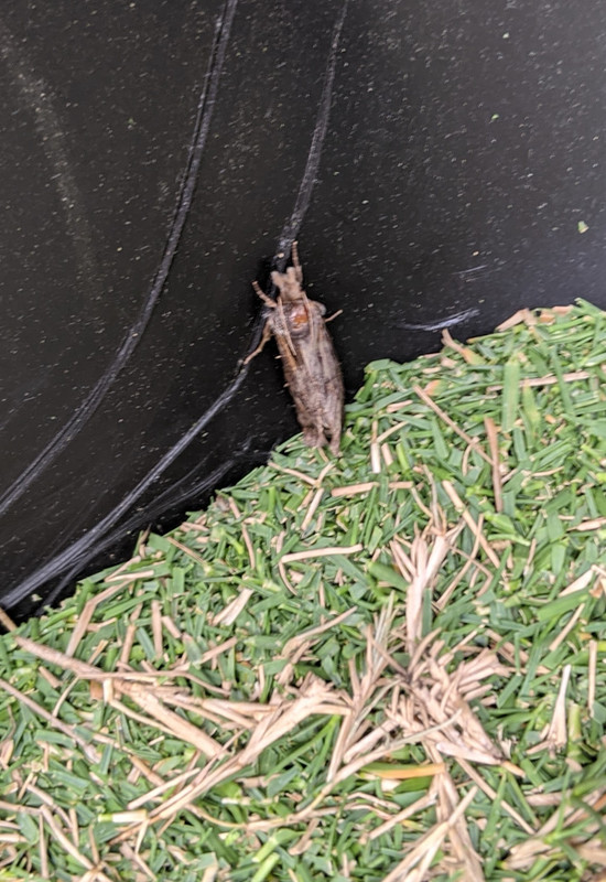 PXL_20200823_212811980.MP