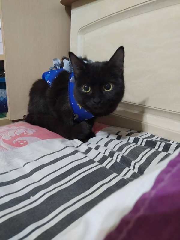 F283B73F-2A9D-475C-AC2D-13C6903BFC2B