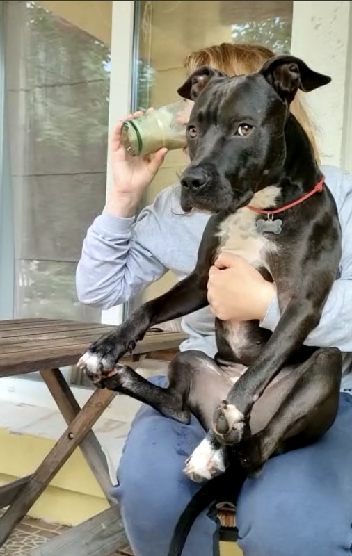 EAB74CFA-E15A-4F89-B49D-DACD2FD4A6B4