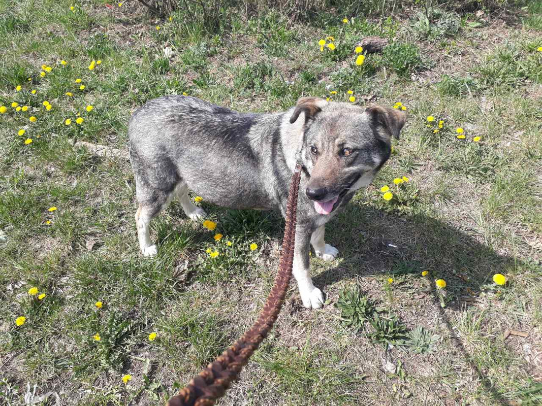 Перед стерилкой