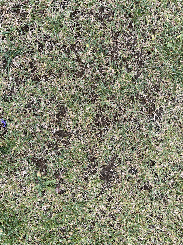 F4AAA3FA-F529-4648-8CF6-2E169CA51515